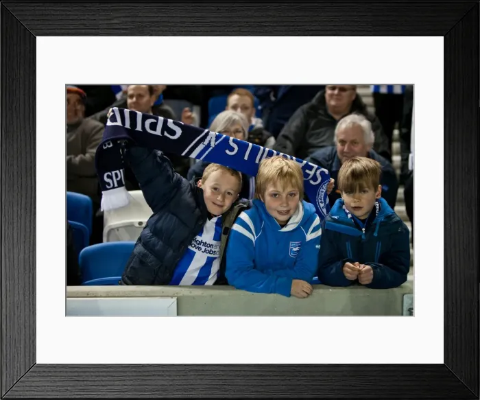 Framed Print : Brighton & Hove Albion's Historic 10-04-2012 Victory Against Reading: A Memorable 2011-12 Season Home Game Framed Print : Brighton & Hove Albion's Historic 10-04-2012 Victory Against Reading: A Memorable 2011-12 Season Home Game