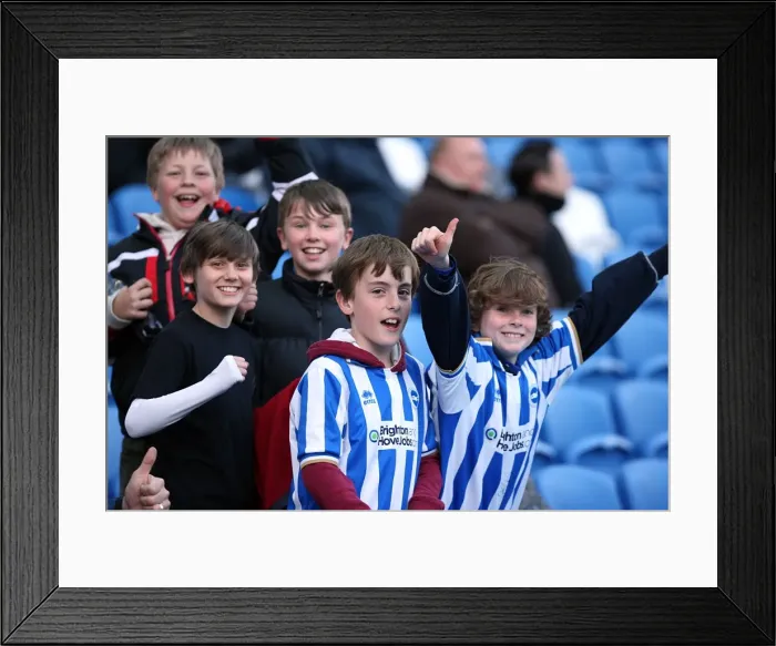 Framed Print : Brighton & Hove Albion's Historic 10-04-2012 Victory Against Reading: A Memorable Moment from the 2011-12 Season Framed Print : Brighton & Hove Albion's Historic 10-04-2012 Victory Against Reading: A Memorable Moment from the 2011-12 Season