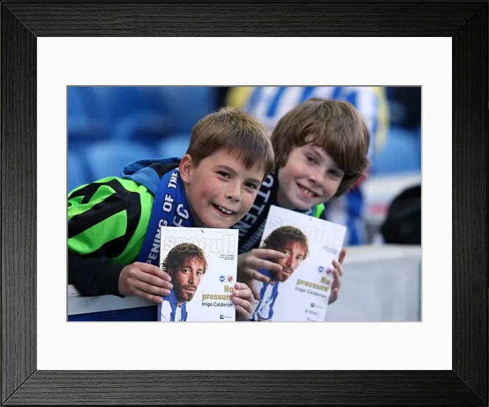 Framed Print : A Memorable 10-4-12: Brighton & Hove Albion's Historic 10-0 Win Against Reading (2011-12 Season) Framed Print : A Memorable 10-4-12: Brighton & Hove Albion's Historic 10-0 Win Against Reading (2011-12 Season)