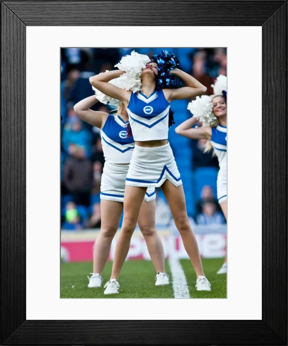 Framed Print : Brighton & Hove Albion vs. Watford (2011-12 Home Game) Framed Print : Brighton & Hove Albion vs. Watford (2011-12 Home Game)