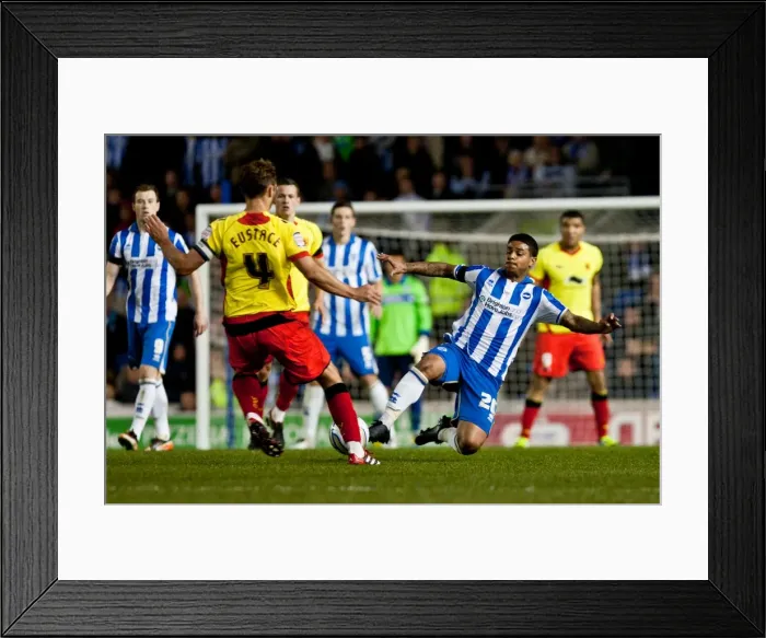 Framed Print : Determined Liam Bridcutt Tackle: Brighton & Hove Albion vs. Watford, Npower Championship, April 2012