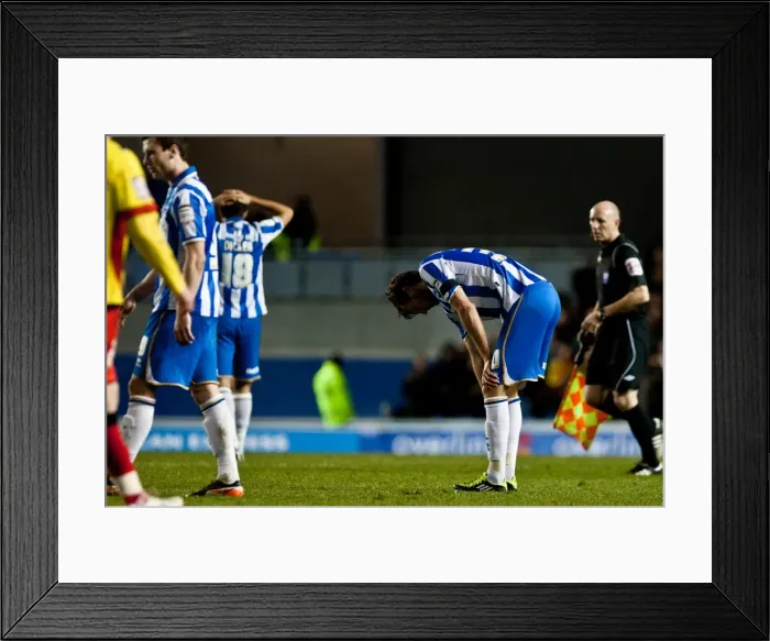Framed Print : Brighton & Hove Albion vs. Watford (17-04-2012): A Past Season Home Game Framed Print : Brighton & Hove Albion vs. Watford (17-04-2012): A Past Season Home Game
