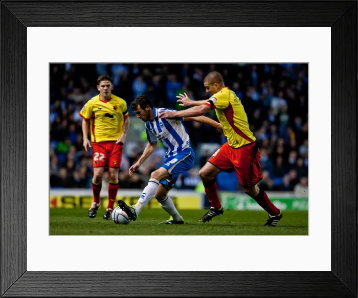 Framed Print : Will Buckley in Action: Brighton & Hove Albion vs Watford, April 17, 2012 Framed Print : Will Buckley in Action: Brighton & Hove Albion vs Watford, April 17, 2012