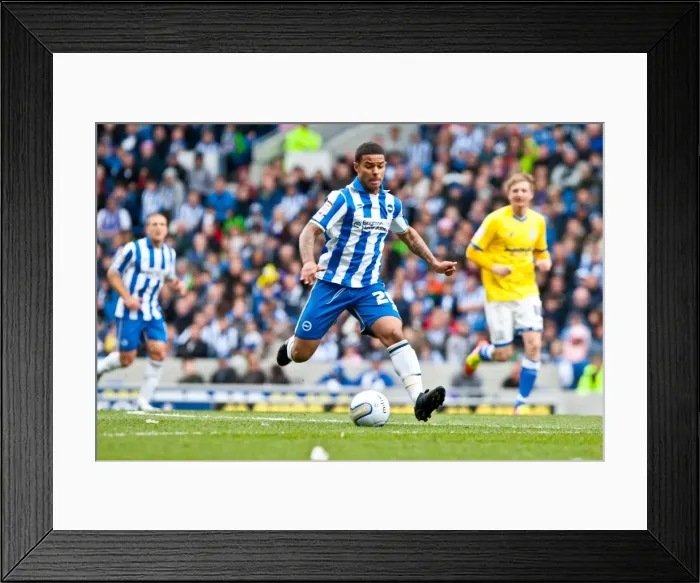 Framed Print : Brighton & Hove Albion's Liam Bridcutt: A Determined Display in the Npower Championship vs Birmingham City (April 2012) Framed Print : Brighton & Hove Albion's Liam Bridcutt: A Determined Display in the Npower Championship vs Birmingham City (April 2012)