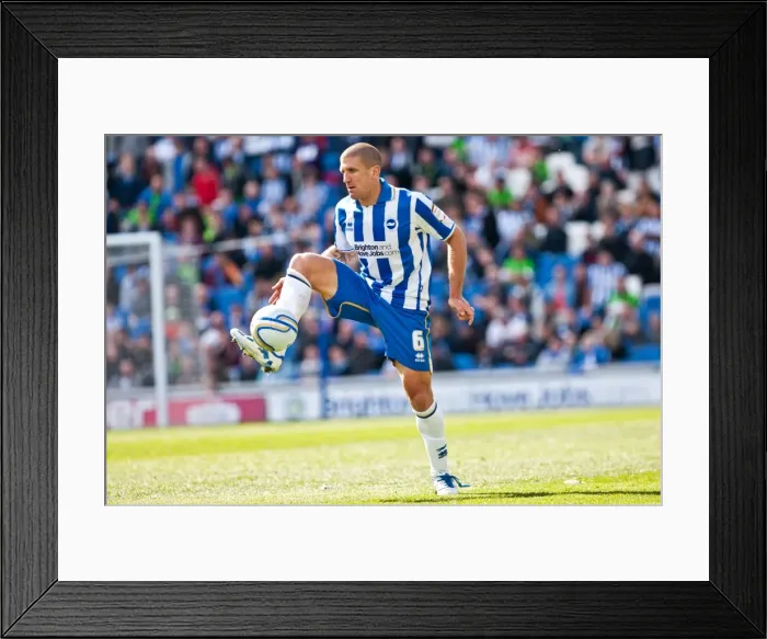 Framed Print : Adam El-Abd in Focus: Brighton & Hove Albion vs Birmingham City, Npower Championship, April 21, 2012 Framed Print : Adam El-Abd in Focus: Brighton & Hove Albion vs Birmingham City, Npower Championship, April 21, 2012