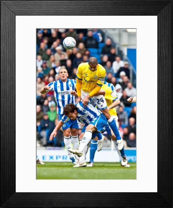 Framed Print : Davies Soars Over Calderon: Aerial Battle in Brighton & Hove Albion vs Birmingham City (April 2012) Framed Print : Davies Soars Over Calderon: Aerial Battle in Brighton & Hove Albion vs Birmingham City (April 2012)
