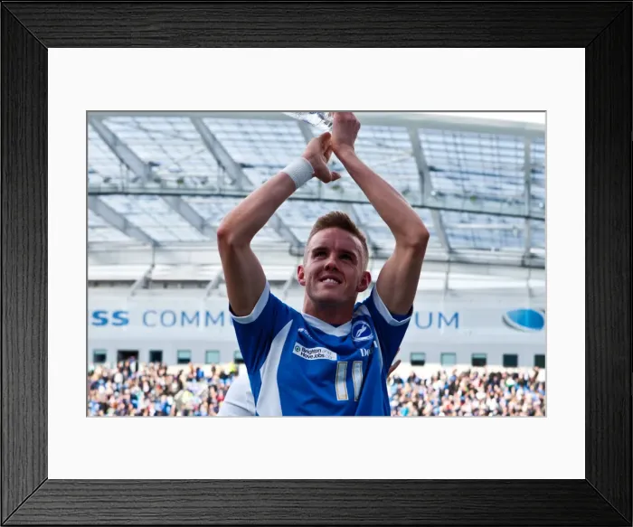 Framed Print : Brighton And Hove Albion Past Seasons: Season 2011-12: 2011-12 Home Games: Birmingham City - 21-04-2012 Framed Print : Brighton And Hove Albion Past Seasons: Season 2011-12: 2011-12 Home Games: Birmingham City - 21-04-2012