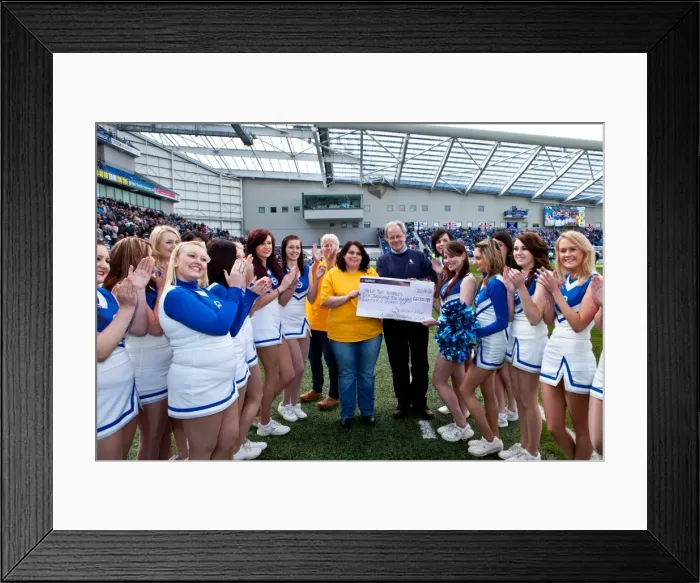 Framed Print : Brighton & Hove Albion vs. Birmingham City (2011-12): A Home Game Review - April 21, 2012 Framed Print : Brighton & Hove Albion vs. Birmingham City (2011-12): A Home Game Review - April 21, 2012