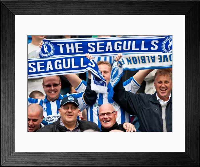 Framed Print : Brighton & Hove Albion FC: Passionate Fans Amex Stadium, March 2012 (vs. Birmingham City) Framed Print : Brighton & Hove Albion FC: Passionate Fans Amex Stadium, March 2012 (vs. Birmingham City)