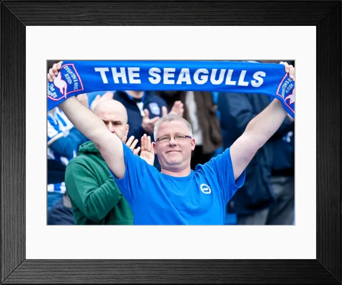 Framed Print : Brighton & Hove Albion FC: Passionate Fans in Action during the Championship Clash vs. Birmingham City (March 21, 2012) Framed Print : Brighton & Hove Albion FC: Passionate Fans in Action during the Championship Clash vs. Birmingham City (March 21, 2012)