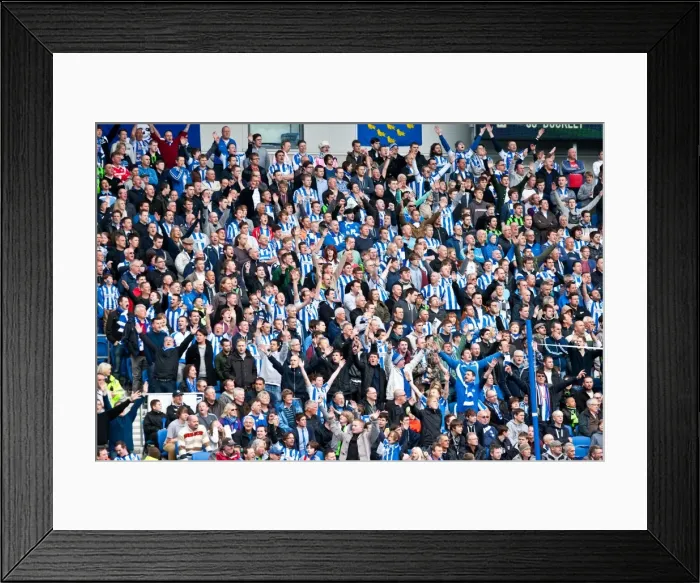 Framed Print : Brighton & Hove Albion vs. Birmingham City: 2011-12 Home Game Framed Print : Brighton & Hove Albion vs. Birmingham City: 2011-12 Home Game