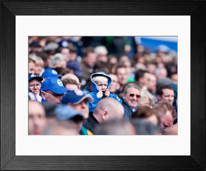 Framed Print : Brighton & Hove Albion vs. Birmingham City (2011-12): A Home Game Review - April 21, 2012 Framed Print : Brighton & Hove Albion vs. Birmingham City (2011-12): A Home Game Review - April 21, 2012