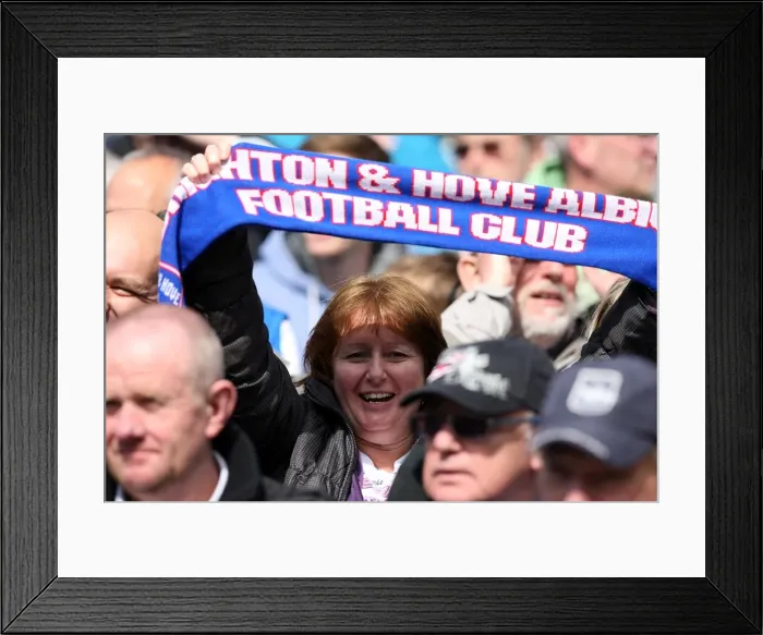 Framed Print : Brighton & Hove Albion vs. Birmingham City (2011-12): A Home Game Review - April 21, 2012 Framed Print : Brighton & Hove Albion vs. Birmingham City (2011-12): A Home Game Review - April 21, 2012