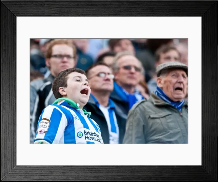 Framed Print : Brighton & Hove Albion vs. Birmingham City (2011-12) - April 21, 2012: Home Game Highlights Framed Print : Brighton & Hove Albion vs. Birmingham City (2011-12) - April 21, 2012: Home Game Highlights