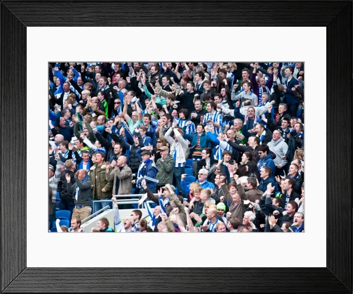 Framed Print : Brighton & Hove Albion: Reliving the Excitement of the 2011-12 Season - Home Match against Birmingham City (April 21, 2012)
