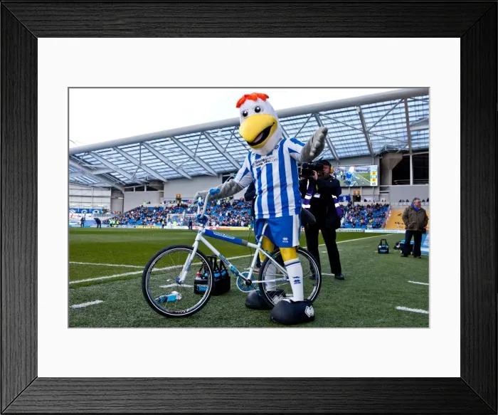 Framed Print : Brighton & Hove Albion vs. Birmingham City (2011-12) - Home Game Highlights, April 21, 2012 Framed Print : Brighton & Hove Albion vs. Birmingham City (2011-12) - Home Game Highlights, April 21, 2012