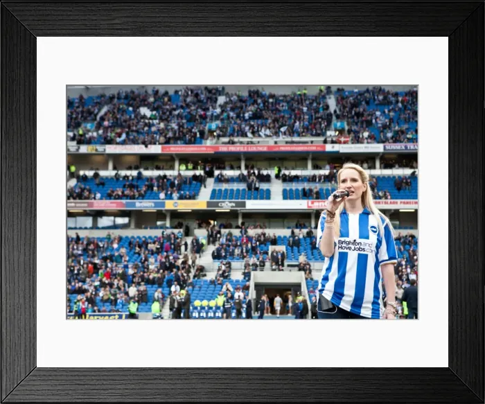 Framed Print : Brighton & Hove Albion: Reliving the Excitement of the 2011-12 Season - Home Game vs. Birmingham City (April 21, 2012) Framed Print : Brighton & Hove Albion: Reliving the Excitement of the 2011-12 Season - Home Game vs. Birmingham City (April 21, 2012)