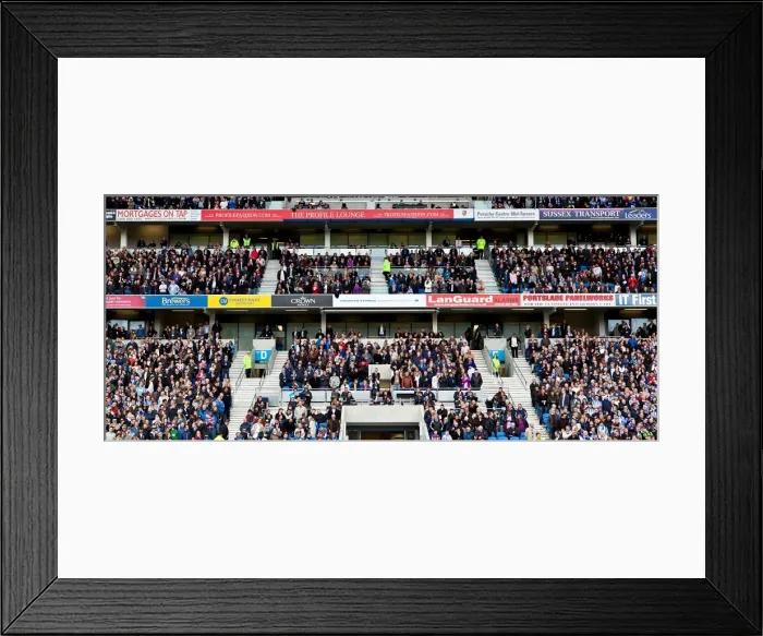 Framed Print : Brighton & Hove Albion vs. Birmingham City: 2011-12 Home Game Framed Print : Brighton & Hove Albion vs. Birmingham City: 2011-12 Home Game