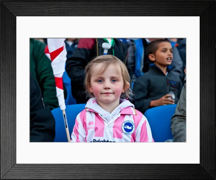 Framed Print : Brighton & Hove Albion U18s vs Ireland U18s (2012): A Glimpse into the 2011-12 Home Season Game Framed Print : Brighton & Hove Albion U18s vs Ireland U18s (2012): A Glimpse into the 2011-12 Home Season Game
