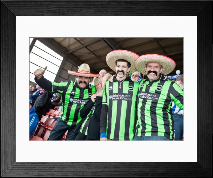Framed Print : Brighton & Hove Albion 2011-12 Away: Barnsley (Final Game) Framed Print : Brighton & Hove Albion 2011-12 Away: Barnsley (Final Game)