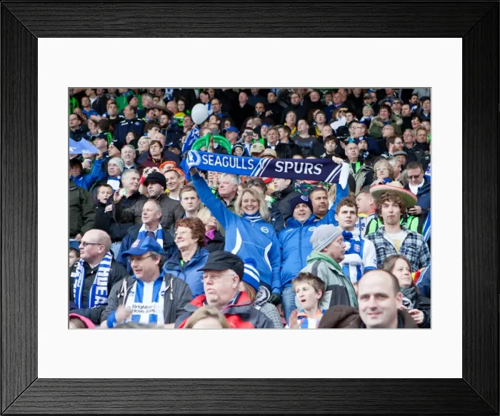 Framed Print : Brighton & Hove Albion 2011-12: Away at Barnsley (Highlights, 28-04-2012)