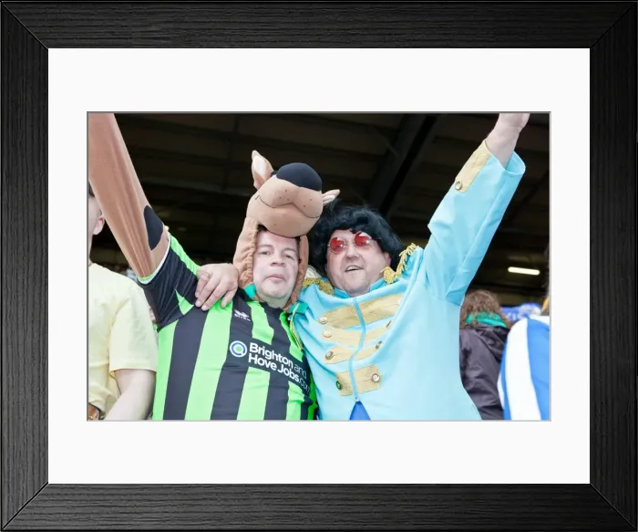 Framed Print : Brighton & Hove Albion 2011-12: Away at Barnsley - April 28, 2012: Highlights