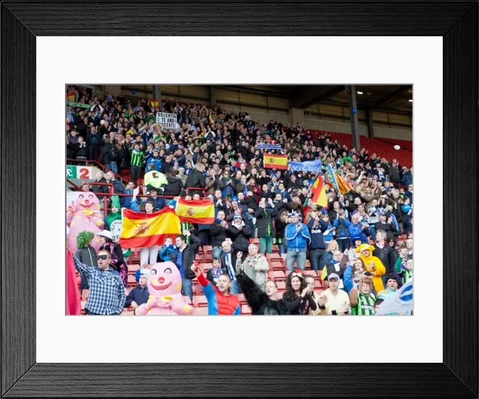 Framed Print : Brighton & HA v Barnsey 120428 Framed Print : Brighton & HA v Barnsey 120428
