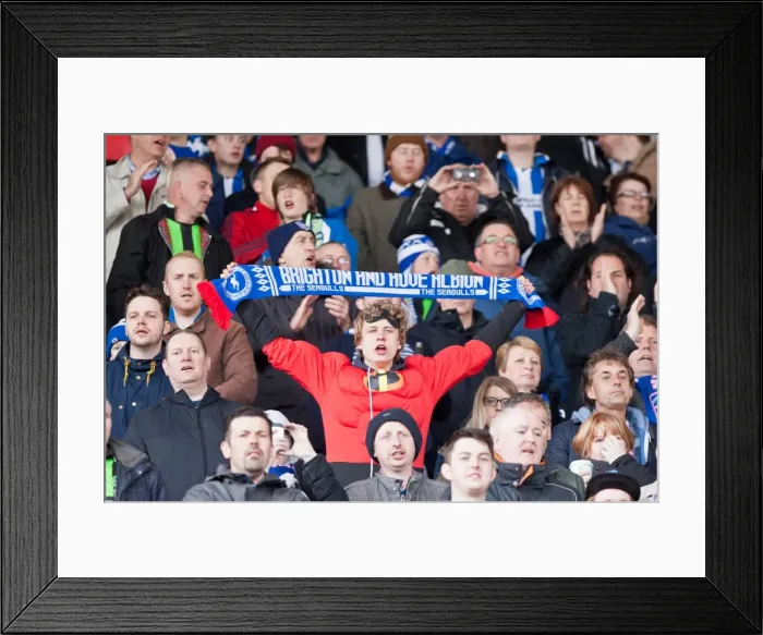 Framed Print : Brighton & Hove Albion vs Barnsley: 2011-12 Season Away Game Framed Print : Brighton & Hove Albion vs Barnsley: 2011-12 Season Away Game