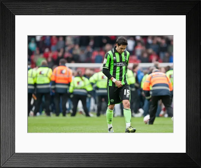 Framed Print : Brighton & Hove Albion vs Barnsley: 2011-12 Season Away Game Framed Print : Brighton & Hove Albion vs Barnsley: 2011-12 Season Away Game