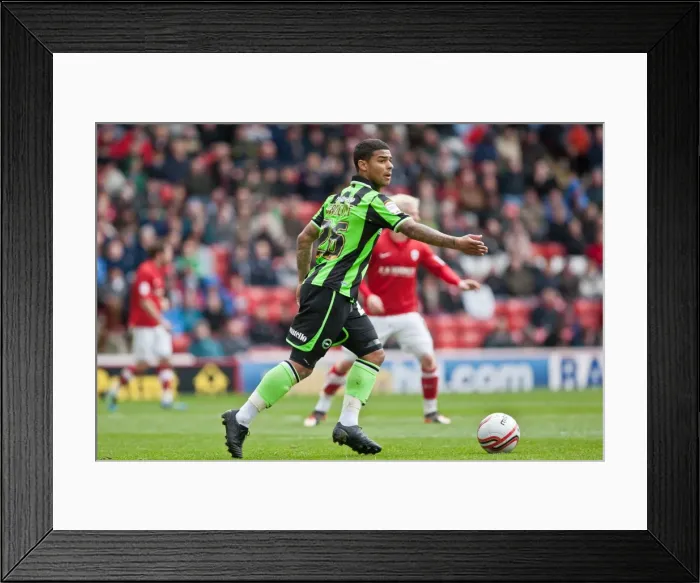 Framed Print : Brighton & Hove Albion's Liam Bridcutt in Action Against Barnsley (April 28, 2012) Framed Print : Brighton & Hove Albion's Liam Bridcutt in Action Against Barnsley (April 28, 2012)