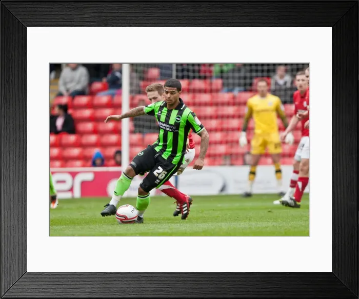 Framed Print : Brighton's Bridcutt in Action: Barnsley vs. Brighton & Hove Albion, Npower Championship, April 2012 Framed Print : Brighton's Bridcutt in Action: Barnsley vs. Brighton & Hove Albion, Npower Championship, April 2012