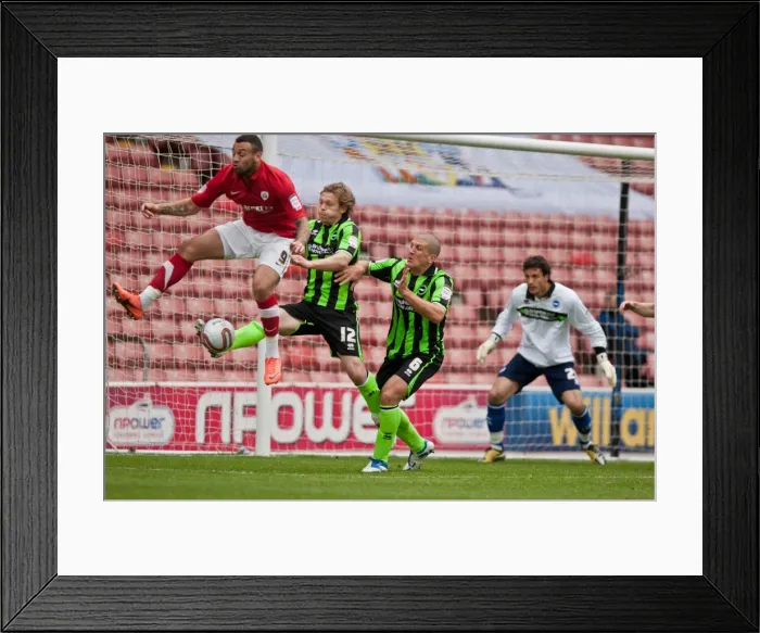 Framed Print : Brighton & Hove Albion: Craig Davies, Craig Mackail-Smith, and Adam El-Abd at Barnsley's Oakwell Stadium, April 2012 Framed Print : Brighton & Hove Albion: Craig Davies, Craig Mackail-Smith, and Adam El-Abd at Barnsley's Oakwell Stadium, April 2012