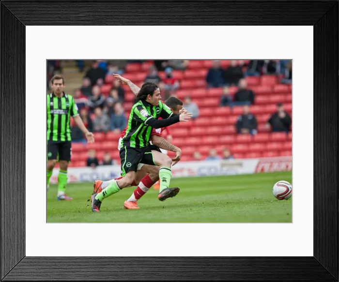 Framed Print : Gai Assulin of Brighton & Hove Albion in Action against Barnsley, Npower Championship, 2012 Framed Print : Gai Assulin of Brighton & Hove Albion in Action against Barnsley, Npower Championship, 2012
