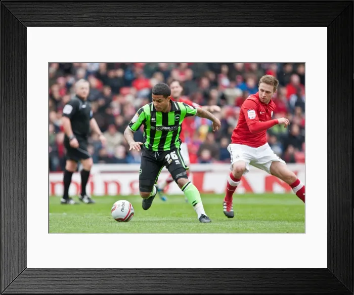 Framed Print : Brighton's Bridcutt in Action: Npower Championship Clash at Barnsley (April 28, 2012) Framed Print : Brighton's Bridcutt in Action: Npower Championship Clash at Barnsley (April 28, 2012)