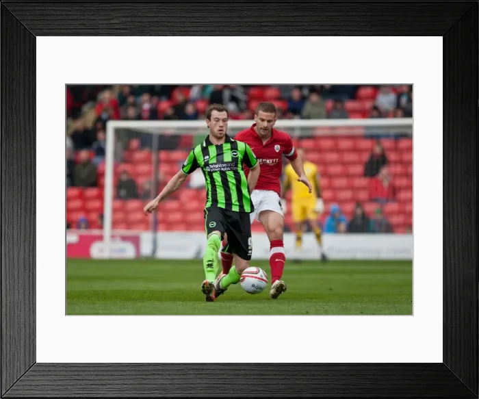 Framed Print : Ashley Barnes in Action: Brighton & Hove Albion vs Barnsley, Npower Championship 2012 Framed Print : Ashley Barnes in Action: Brighton & Hove Albion vs Barnsley, Npower Championship 2012