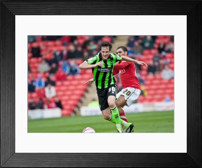 Framed Print : Will Buckley in Action: Barnsley vs. Brighton & Hove Albion, Npower Championship, 28th April 2012 Framed Print : Will Buckley in Action: Barnsley vs. Brighton & Hove Albion, Npower Championship, 28th April 2012