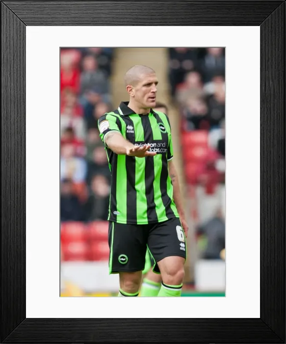 Framed Print : Brighton & Hove Albion's Adam El-Abd in Action at Barnsley, Npower Championship, 2012 Framed Print : Brighton & Hove Albion's Adam El-Abd in Action at Barnsley, Npower Championship, 2012