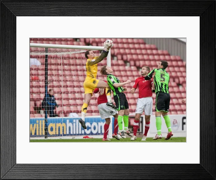 Framed Print : Brighton & Hove Albion's David Button in Action at Barnsley, Npower Championship, 2012 Framed Print : Brighton & Hove Albion's David Button in Action at Barnsley, Npower Championship, 2012