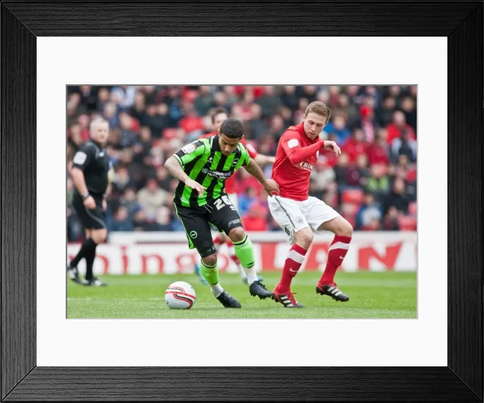 Framed Print : Brighton's Bridcutt in Action at Barnsley, April 2012 Framed Print : Brighton's Bridcutt in Action at Barnsley, April 2012