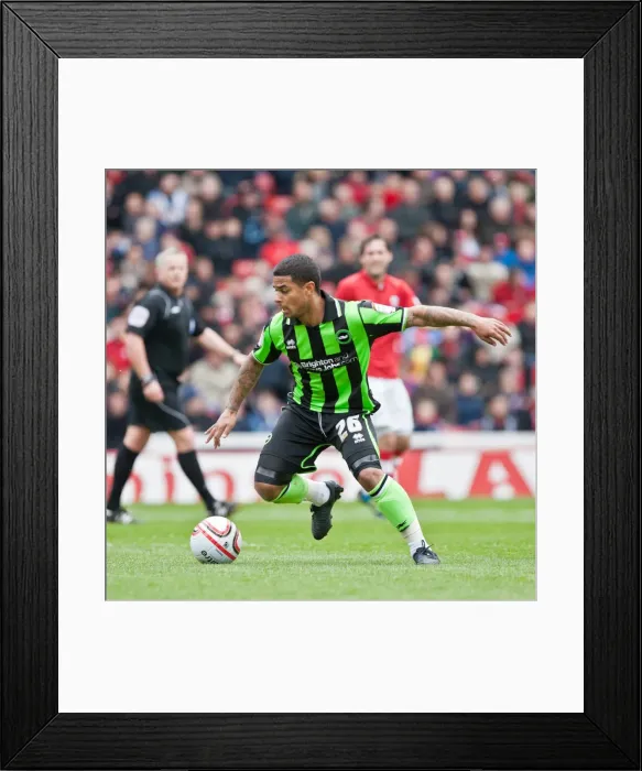 Framed Print : Liam Bridcutt in Action: Barnsley vs. Brighton & Hove Albion, Npower Championship 2012 Framed Print : Liam Bridcutt in Action: Barnsley vs. Brighton & Hove Albion, Npower Championship 2012