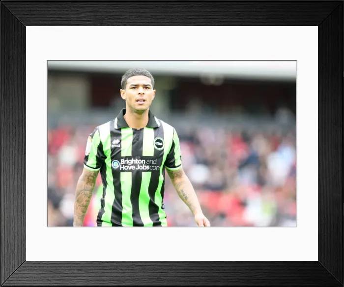 Framed Print : Liam Bridcutt's Unforgettable Performance: Barnsley vs. Brighton & Hove Albion, 2012 Npower Championship Framed Print : Liam Bridcutt's Unforgettable Performance: Barnsley vs. Brighton & Hove Albion, 2012 Npower Championship