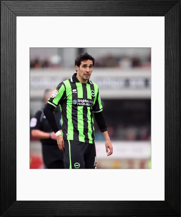 Framed Print : Brighton & Hove Albion at Barnsley (2011-12 Season, Game 28) Framed Print : Brighton & Hove Albion at Barnsley (2011-12 Season, Game 28)