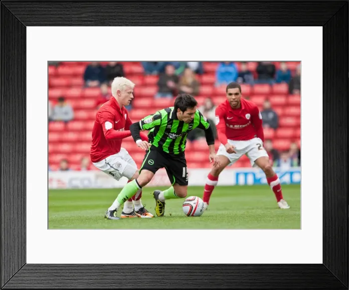 Framed Print : Brighton & Hove Albion at Oakwell Stadium: Vicente in Npower Championship Showdown against Barnsley (April 28, 2012) Framed Print : Brighton & Hove Albion at Oakwell Stadium: Vicente in Npower Championship Showdown against Barnsley (April 28, 2012)