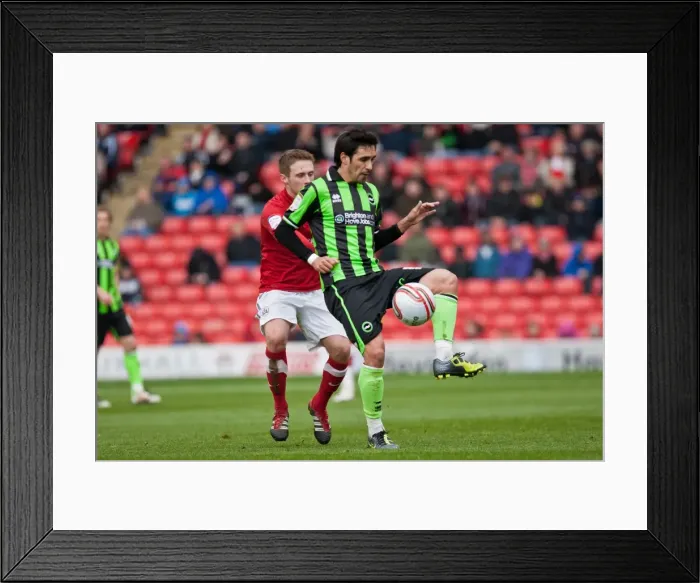 Framed Print : Vicente's Showdown: Brighton & Hove Albion vs Barnsley, Npower Championship, Oakwell Stadium (April 28, 2012) Framed Print : Vicente's Showdown: Brighton & Hove Albion vs Barnsley, Npower Championship, Oakwell Stadium (April 28, 2012)