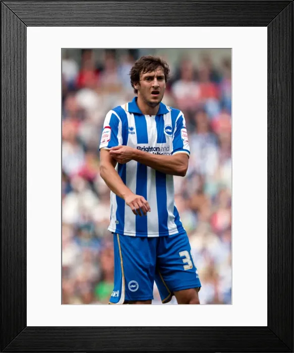 Framed Print : Brighton & Hove Albion: In Focus - Will Buckley Framed Print : Brighton & Hove Albion: In Focus - Will Buckley
