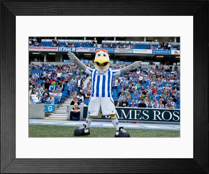Framed Print : Brighton & Hove Albion's Iconic Trio: Gully, Sammy, and Sally Framed Print : Brighton & Hove Albion's Iconic Trio: Gully, Sammy, and Sally