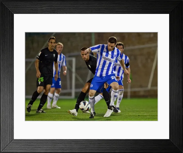Framed Print : Brighton & Hove Albion FC: 2012-13 Pre-Season Training with Cordoba Framed Print : Brighton & Hove Albion FC: 2012-13 Pre-Season Training with Cordoba