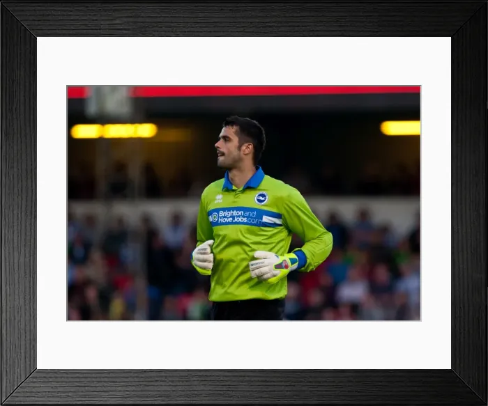 Framed Print : Brighton & Hove Albion vs Lewes: 2012-13 Pre-Season Clash Framed Print : Brighton & Hove Albion vs Lewes: 2012-13 Pre-Season Clash