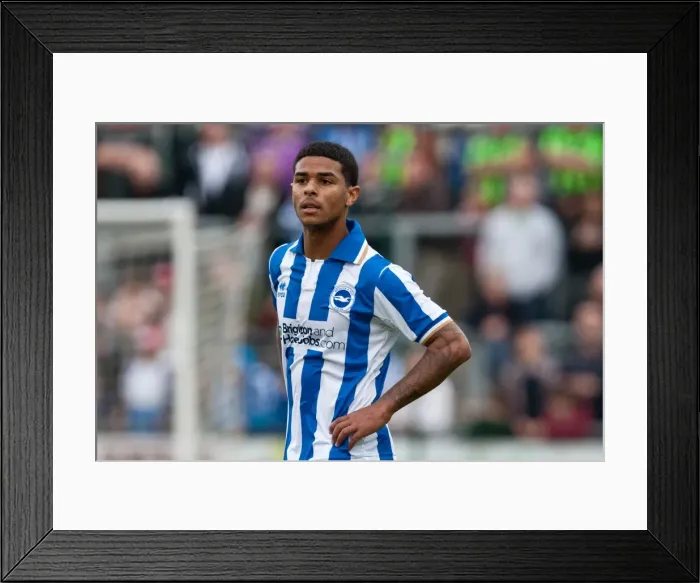 Framed Print : Brighton & Hove Albion: In Focus - Liam Bridcutt Framed Print : Brighton & Hove Albion: In Focus - Liam Bridcutt
