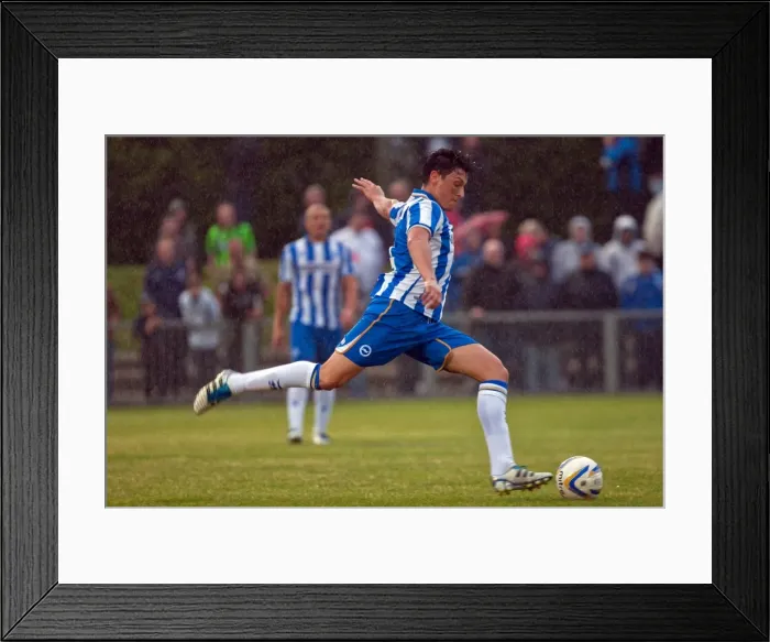 Framed Print : Brighton & Hove Albion: 2012-13 Pre-Season Training at Worthing